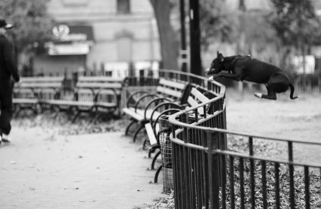 fot. Weronika Kwiatkowska 